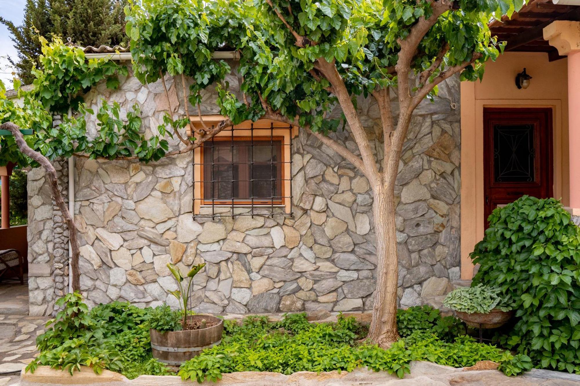 Dm Elegant And Charming Villa Foinikia  Exterior photo