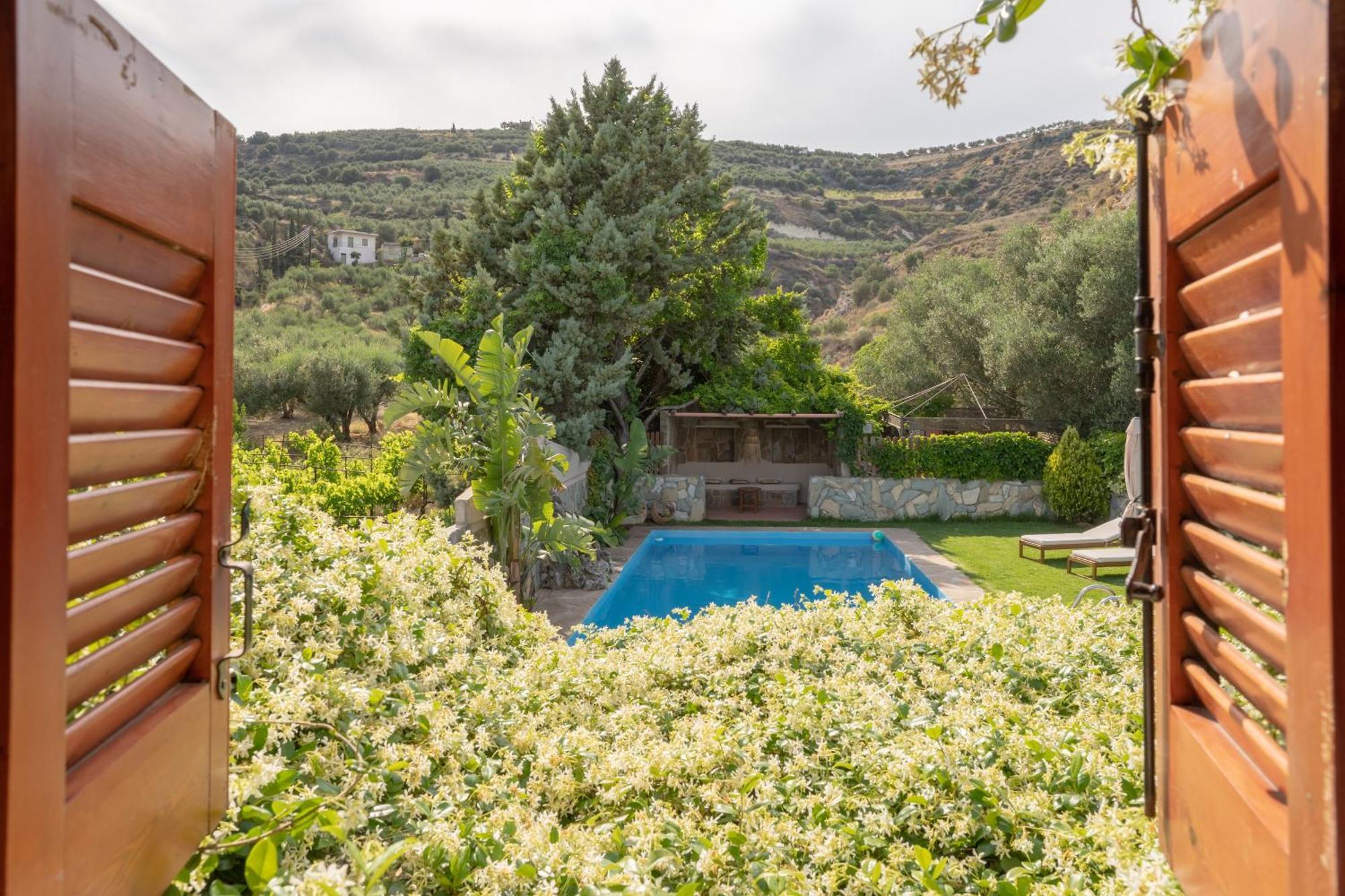 Dm Elegant And Charming Villa Foinikia  Exterior photo