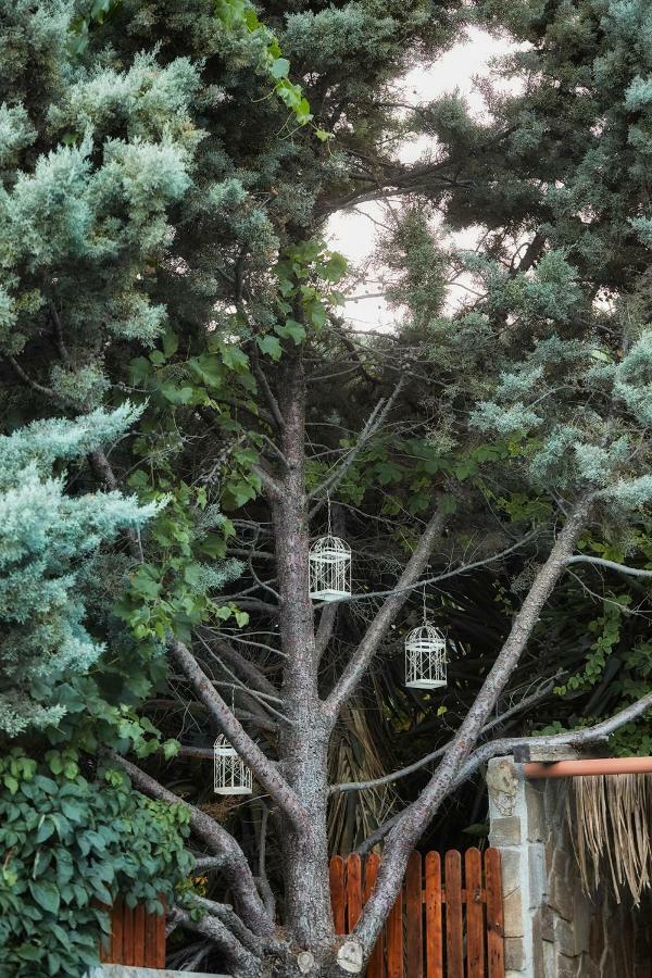 Dm Elegant And Charming Villa Foinikia  Exterior photo